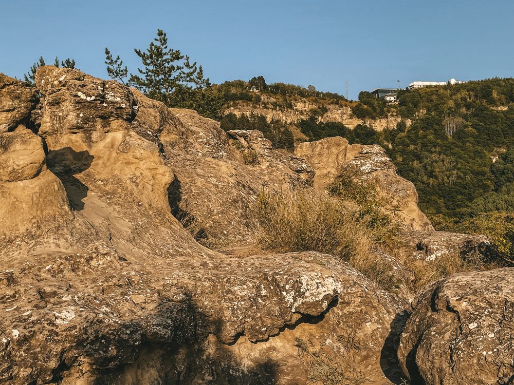 Фотография автора Рамзия Хисамутдинова