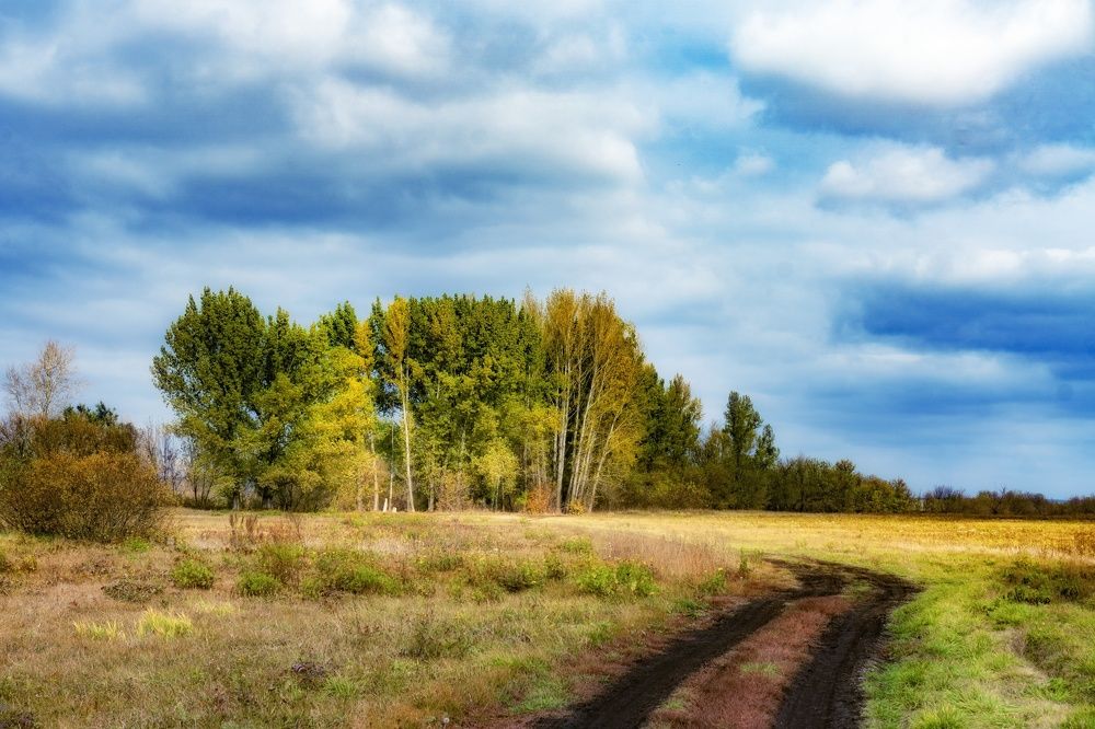 Photograph by Елена Шабельникова