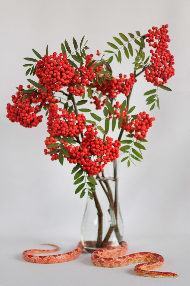 Осенняя постановка