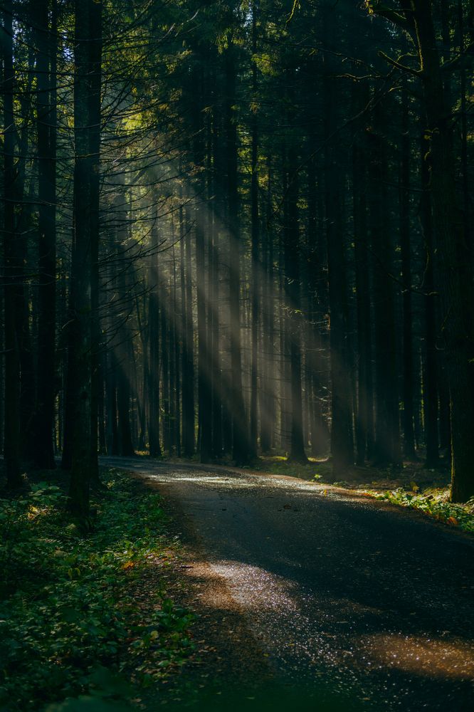 Photograph by Антон Киптиков