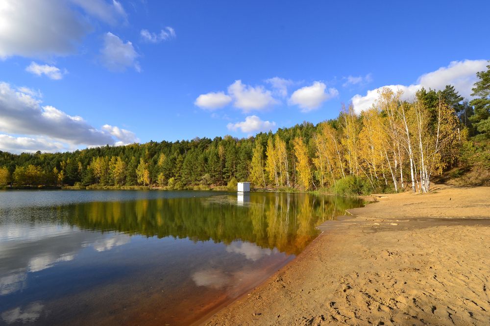 Золотая осень на озере (Лыткарино)