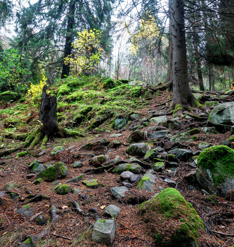 Photograph by Алексей Ромадов