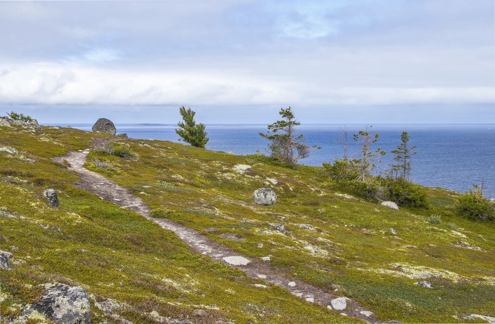 Необитаемый остров