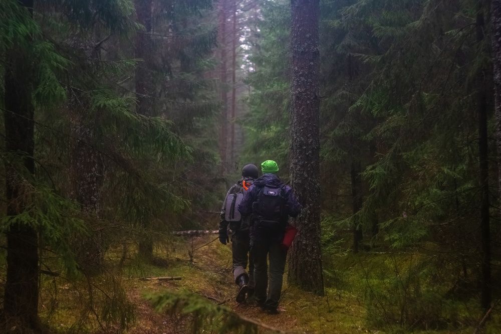 Photograph by Сергей Хабаров