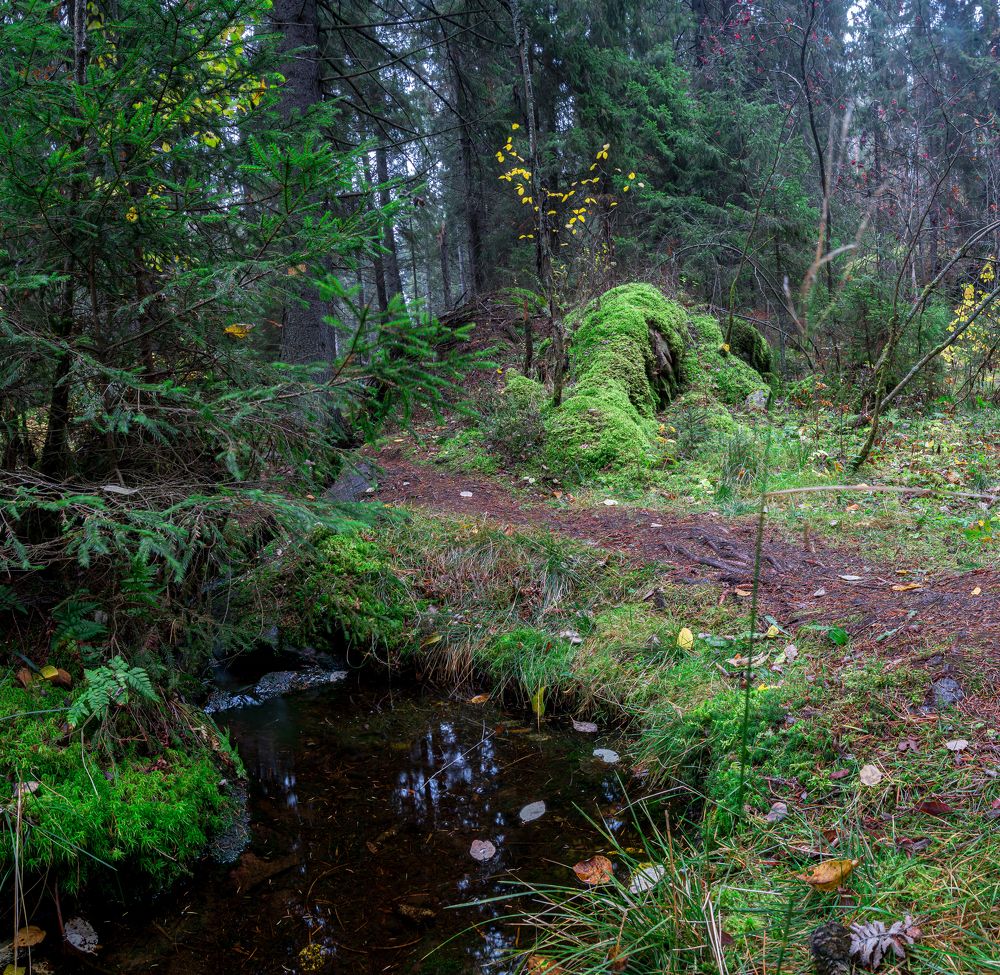 Photograph by Алексей Ромадов