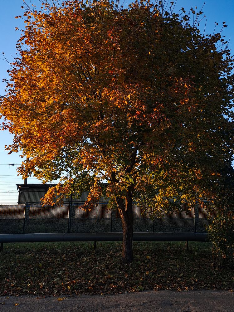 Photograph by Даниил Гордеев