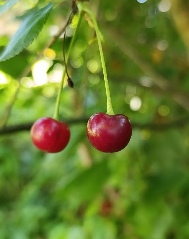 Photograph by Екатерина Супраненок