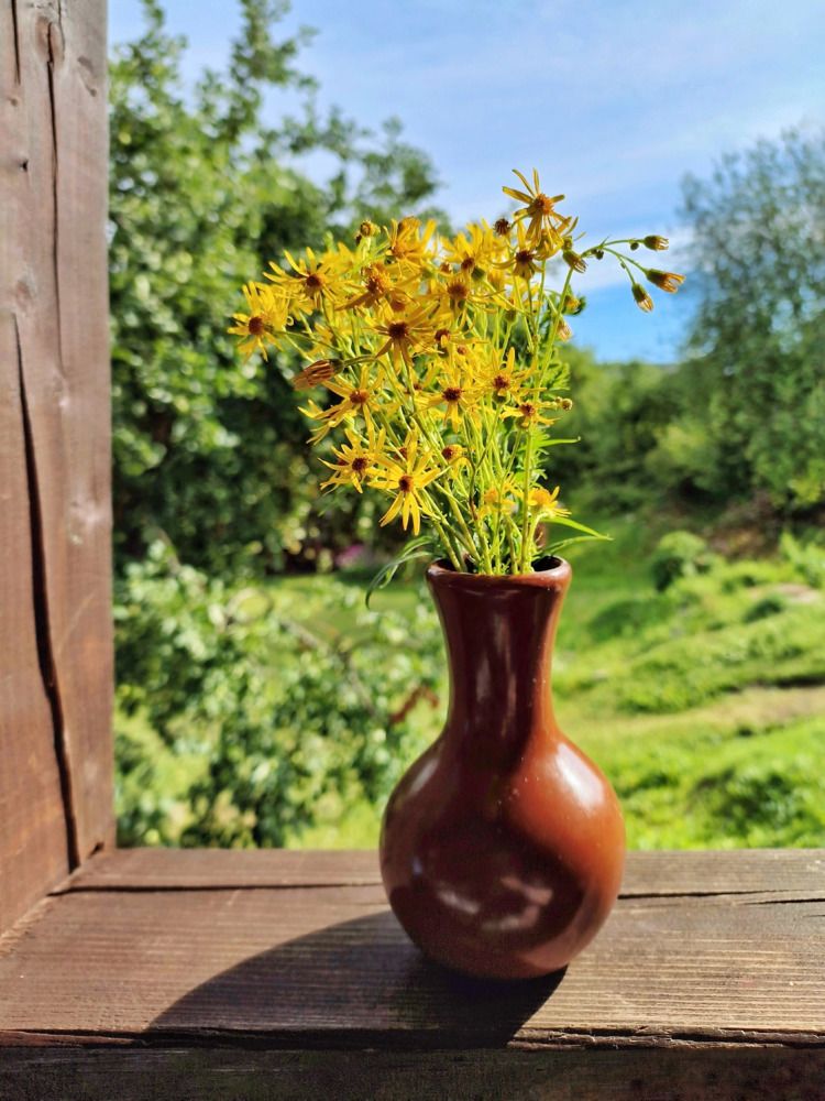 Photograph by Александра