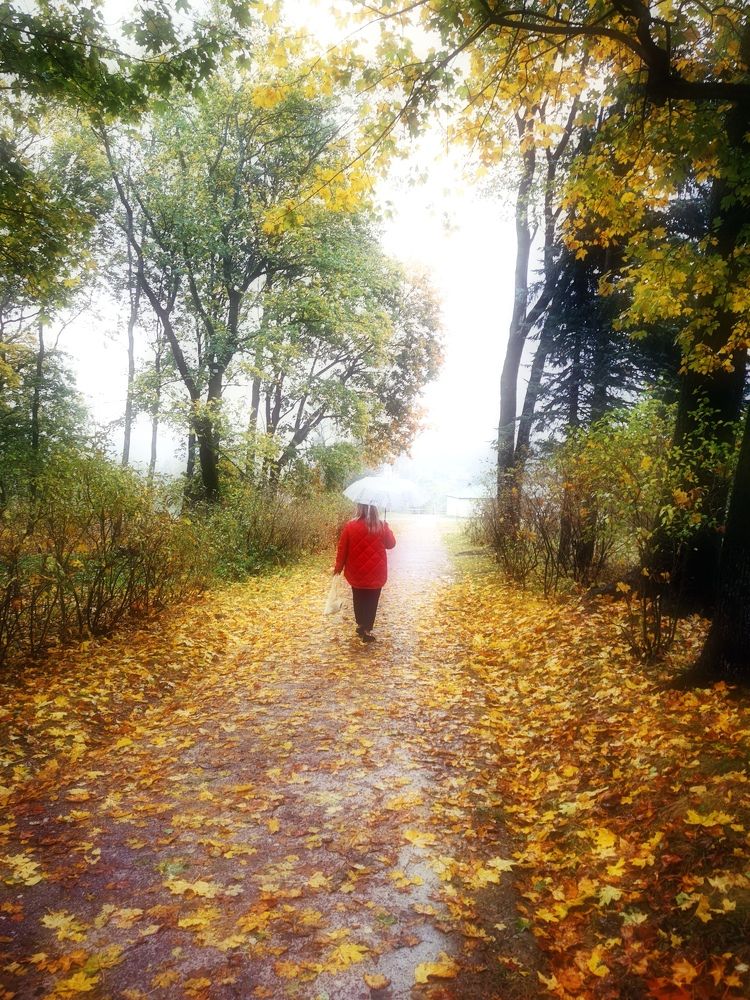 Photograph by Елена Иванова