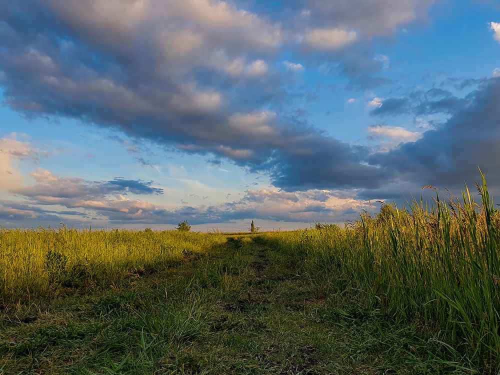Photograph by Анастасия Трофимовская