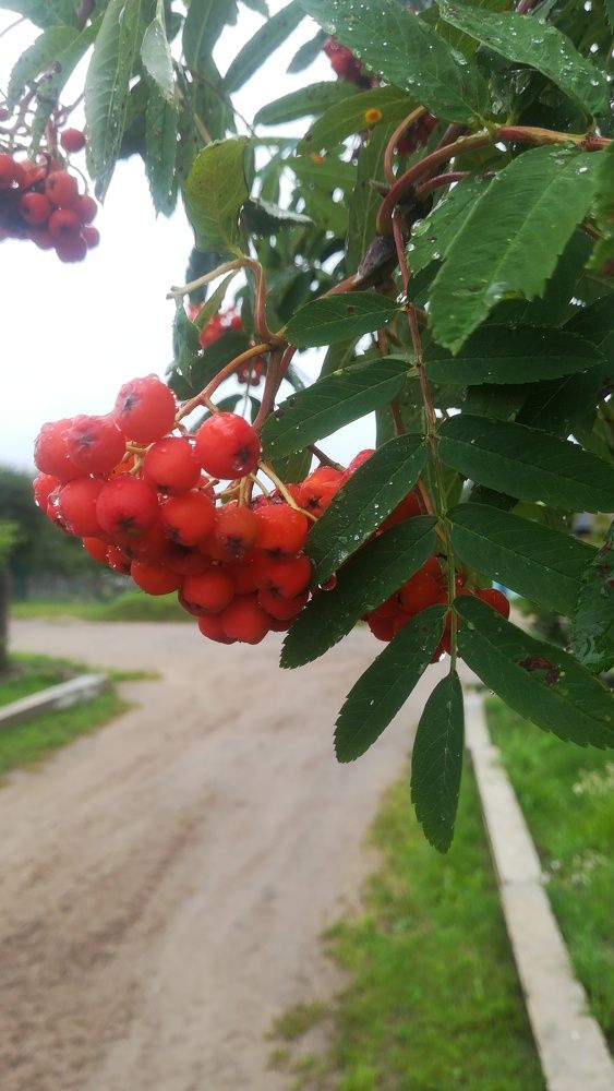 Photograph by Екатерина Супраненок