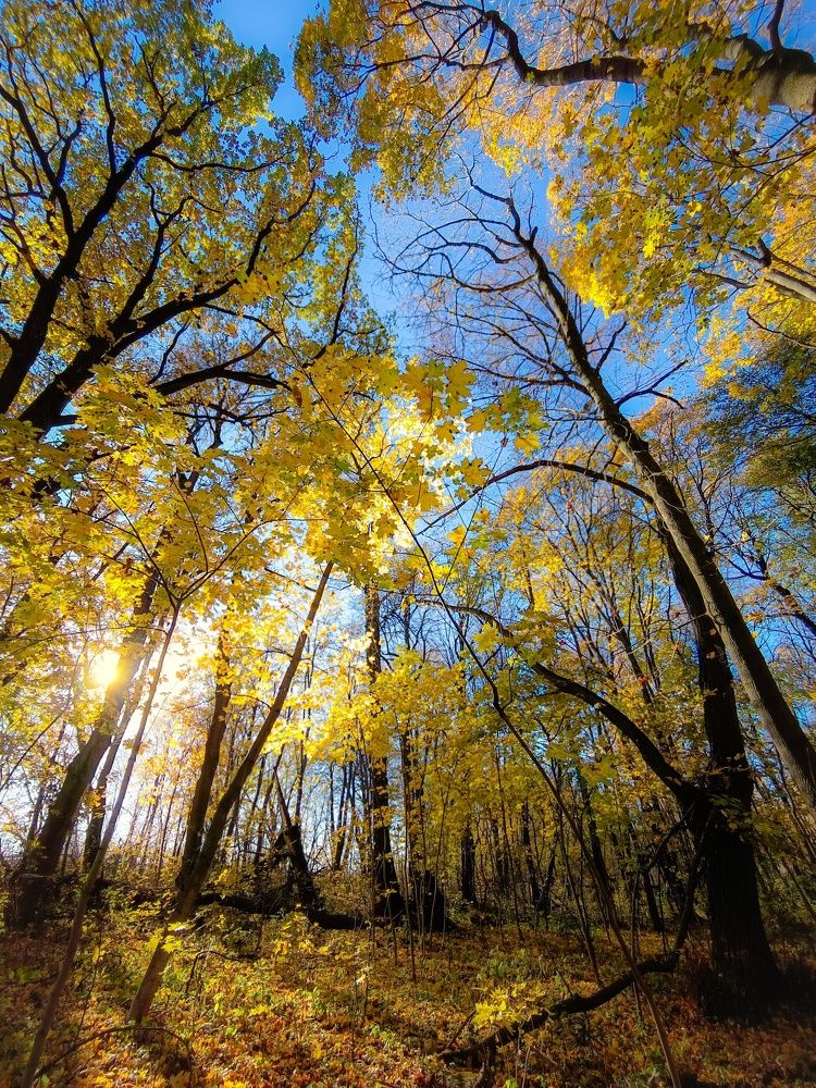 Photograph by Кондрашова Светлана