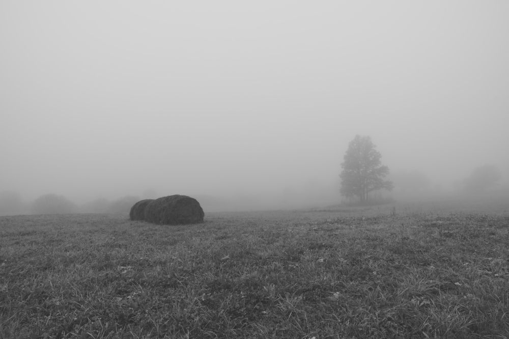 Photograph by Виктория Шажко