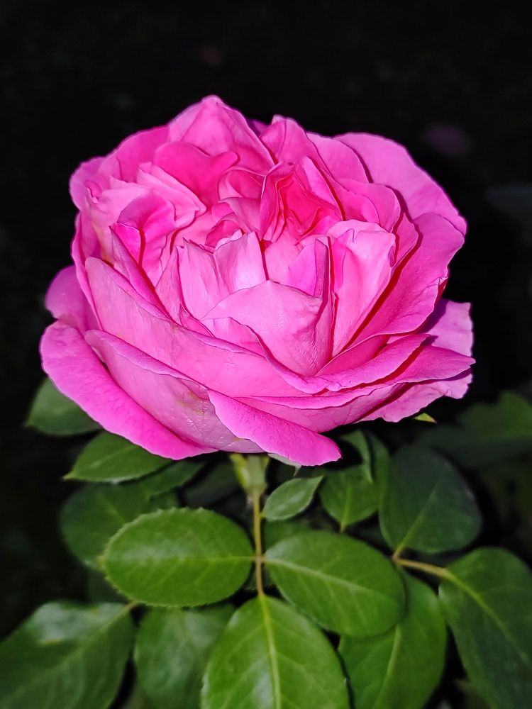 Photograph by Екатерина Борисовна Кузьмина