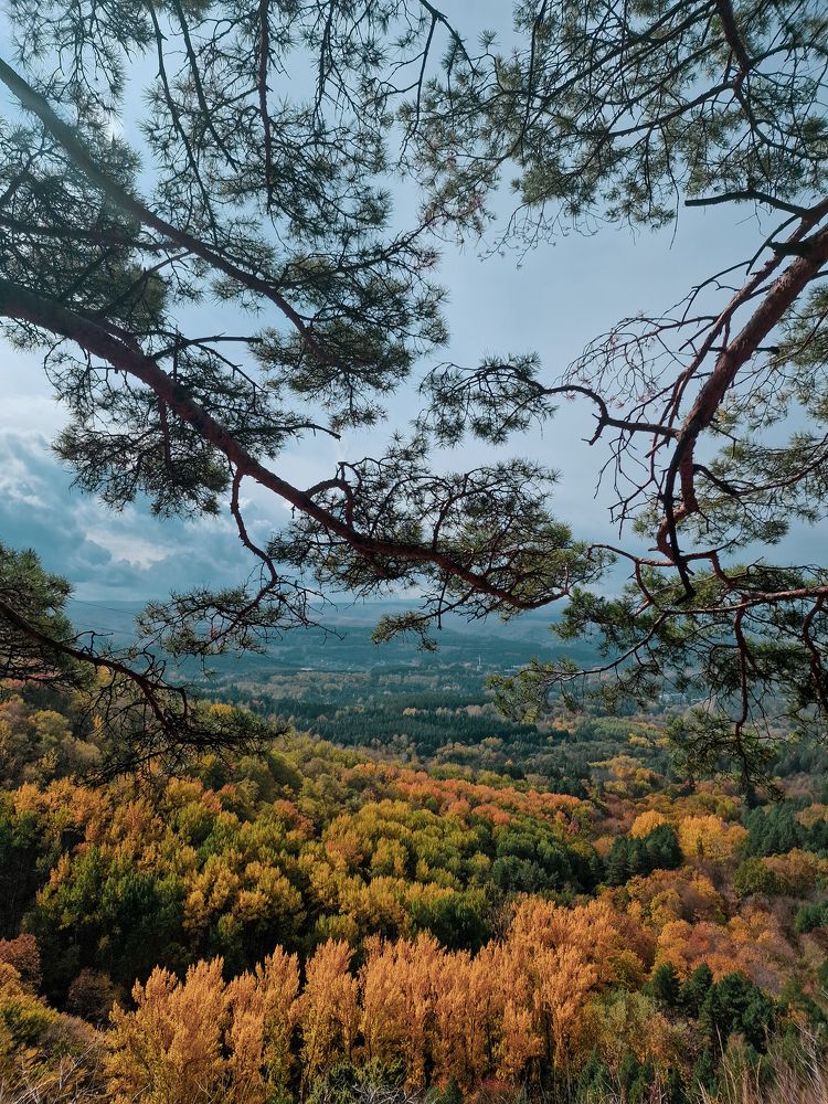 Photograph by Полина Галянина