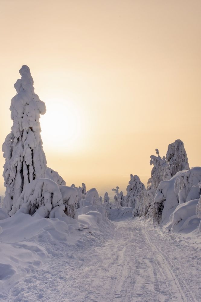 Photograph by Дулова Анастасия