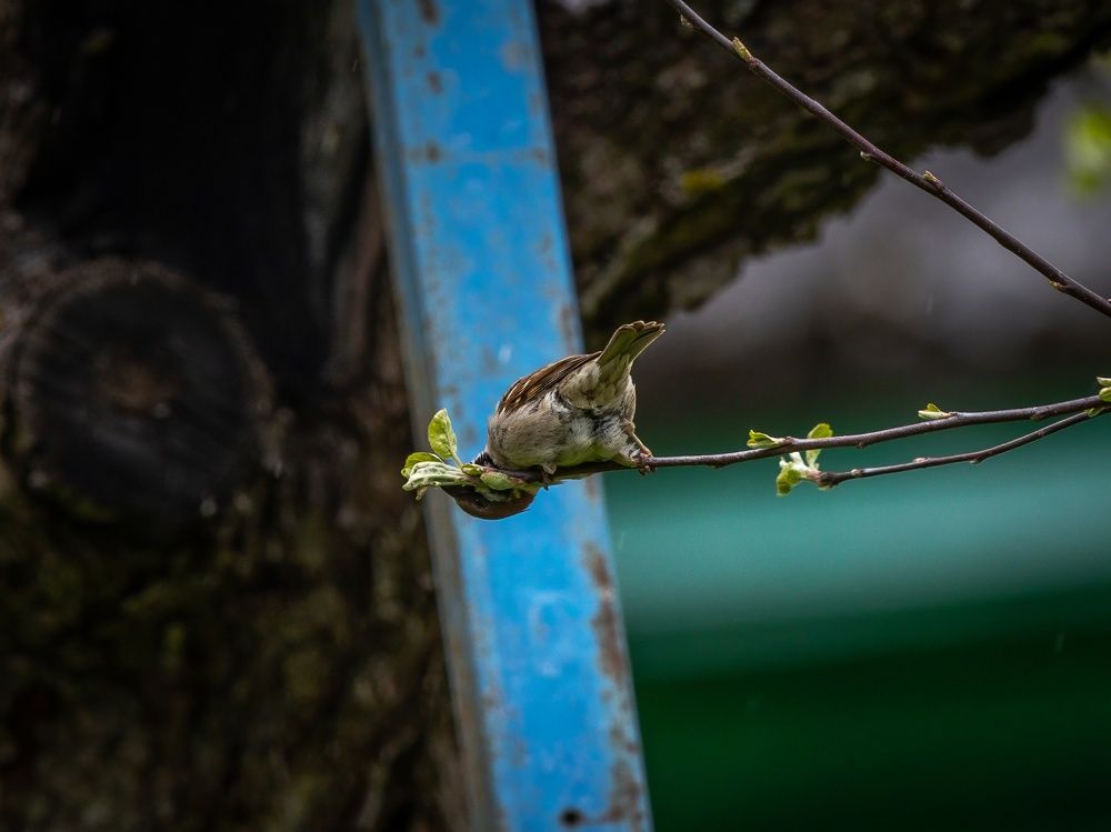 Photograph by Сергей Хабаров