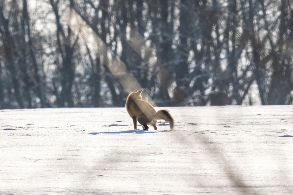Photograph by Сергей Хабаров