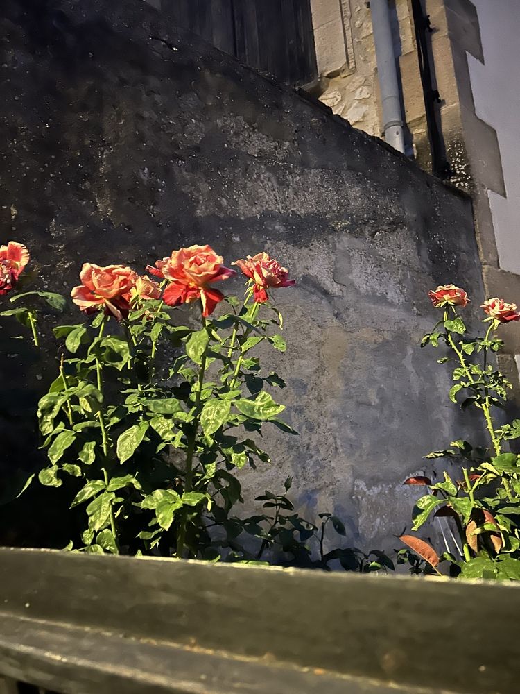 Photograph by Виктория Максименко