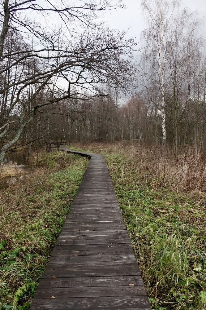 Photograph by Надежда Ткаченко