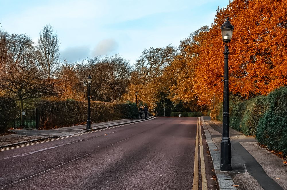 Photograph by Anya Lo