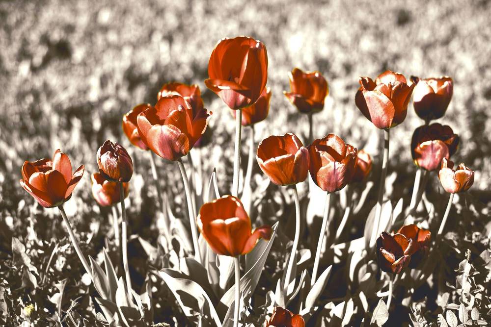 Фотография автора Войнов Дмитрий