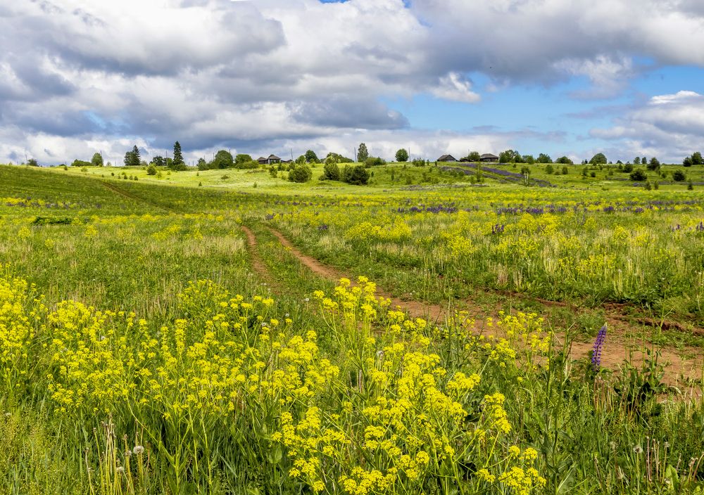 Бежит тропинка через луг
