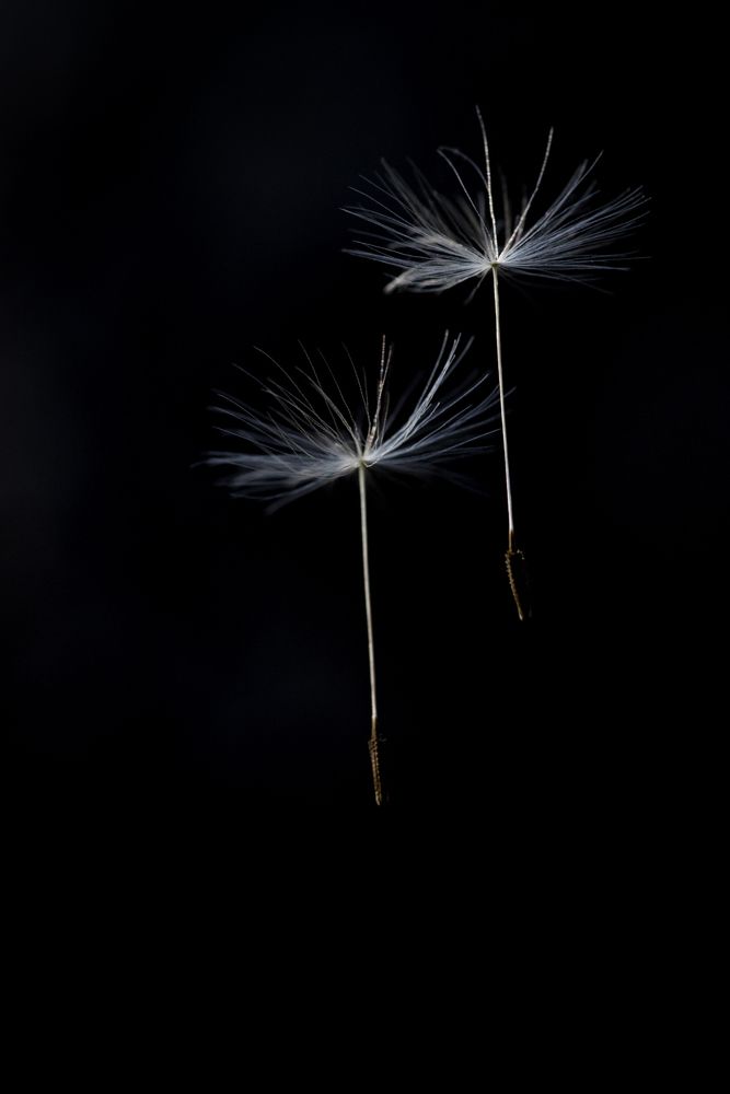 Фотография автора Krisztina Kaposvári