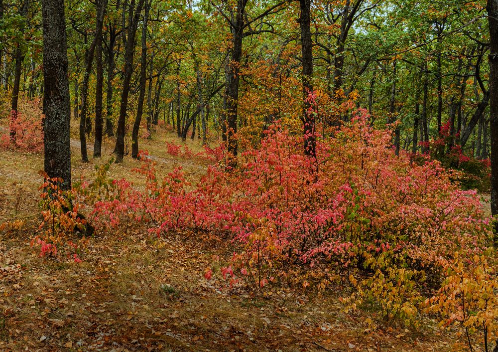 Photograph by София Стрыгина