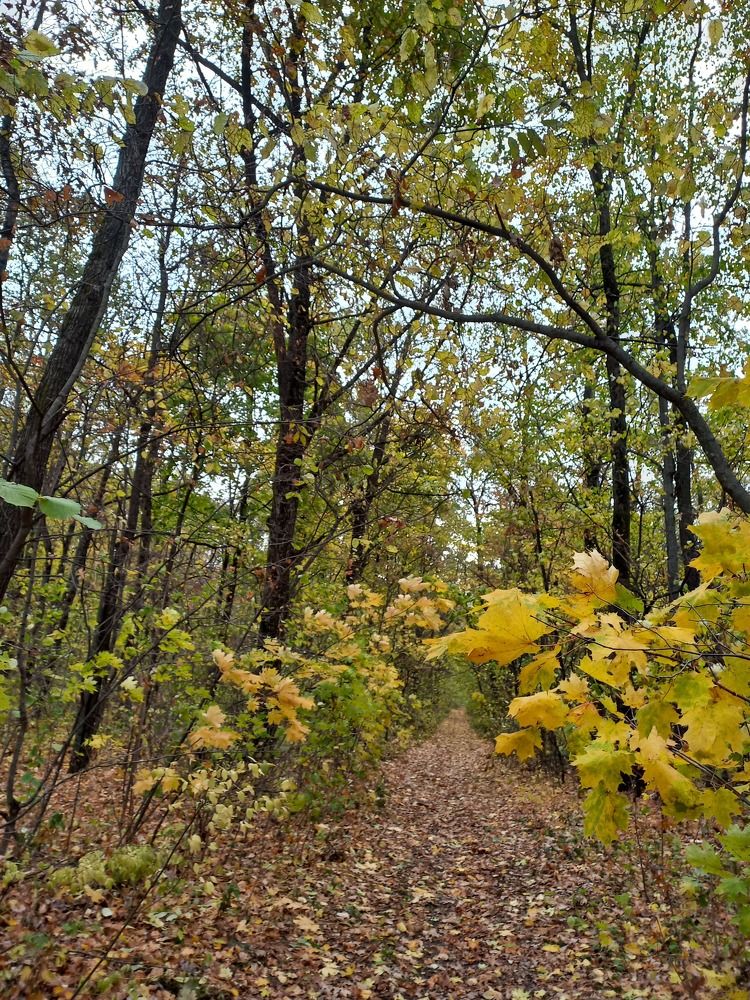 Photograph by Людмила Сотникова