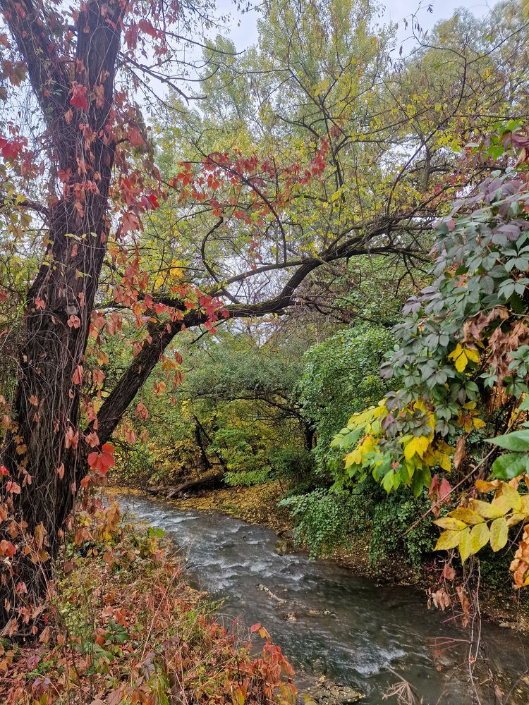 Photograph by Полина Галянина