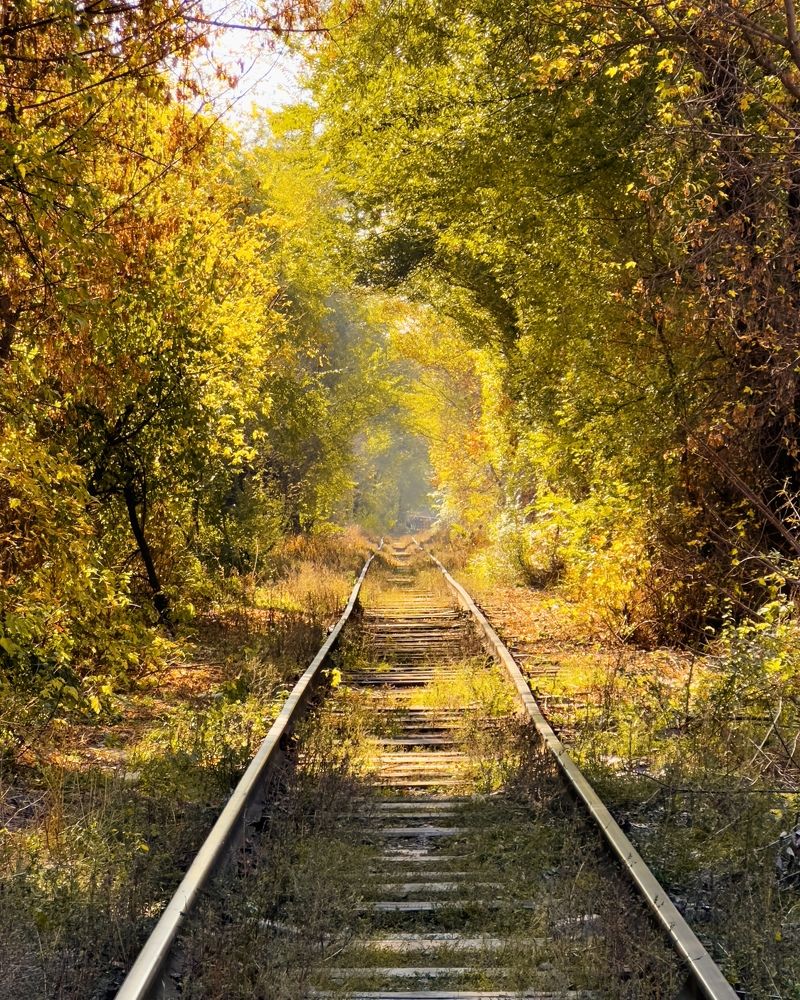 Дорога в сказку