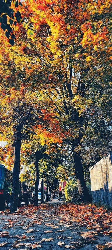 Photograph by Юлія Золотницька