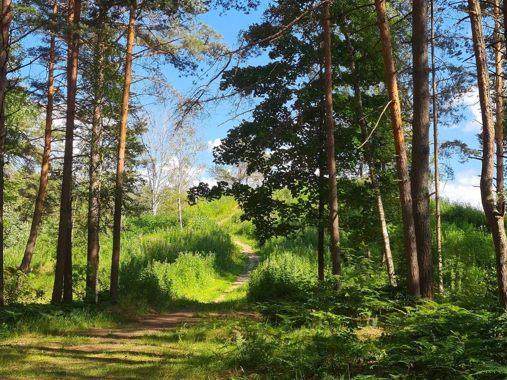 Photograph by Ксения Определенкова