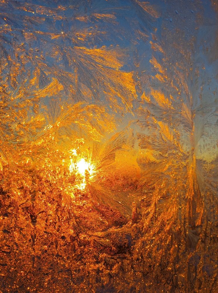 Фотография автора Татьяна Алексеева