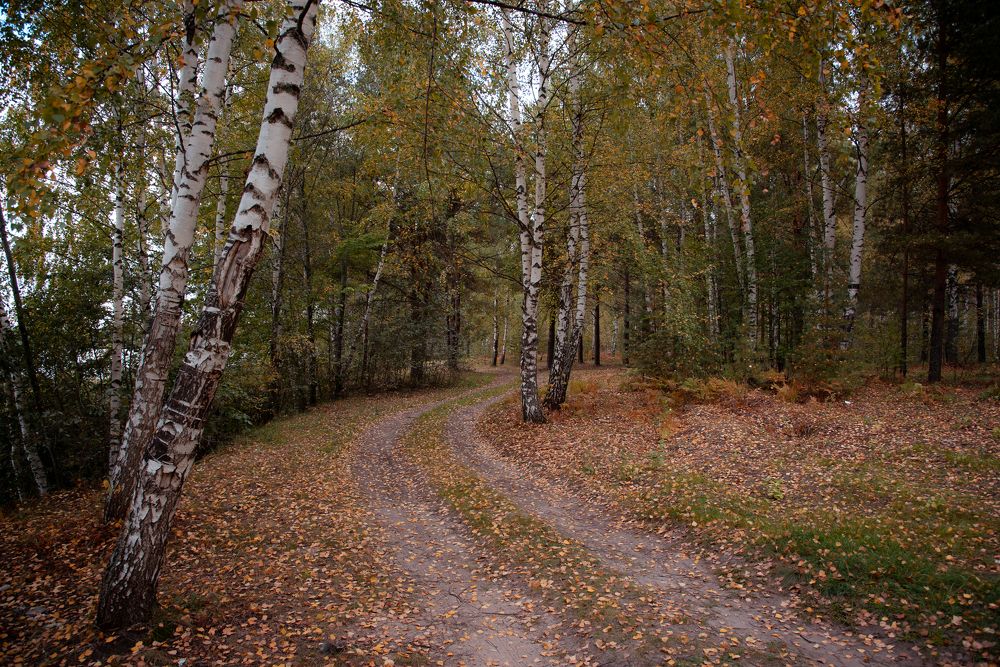 Фотография автора Войнов Дмитрий