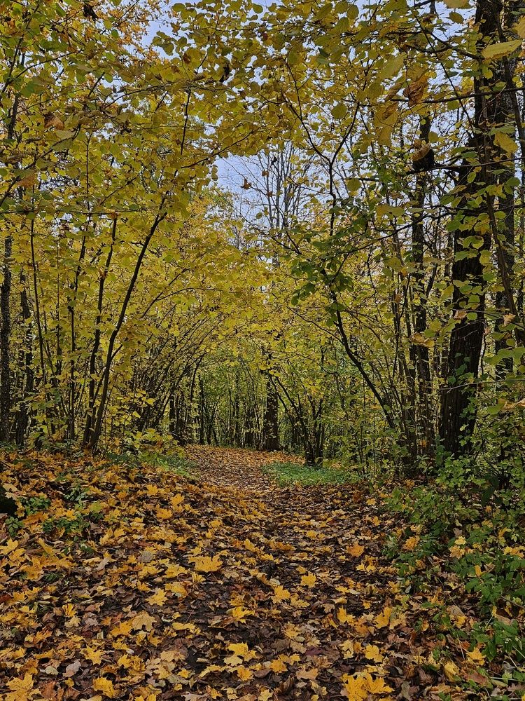 Photograph by Светлана Алексеева