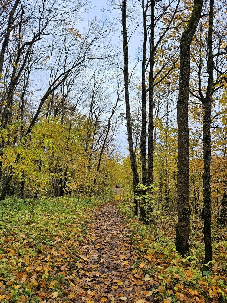 Photograph by Светлана Алексеева