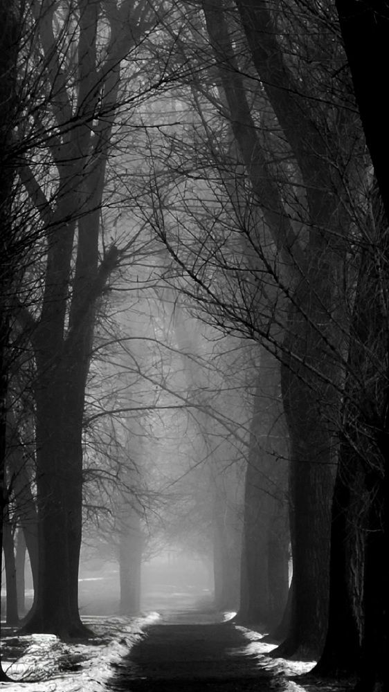 Photograph by Егор Жук