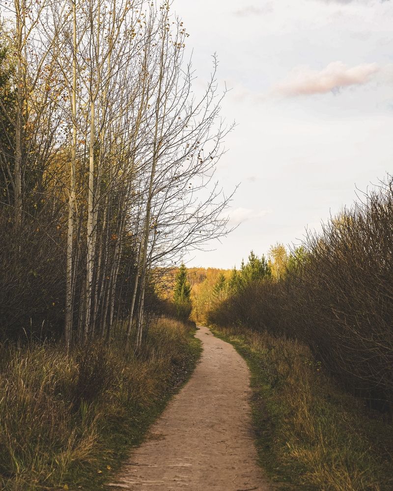 Photograph by Julia Andreeva