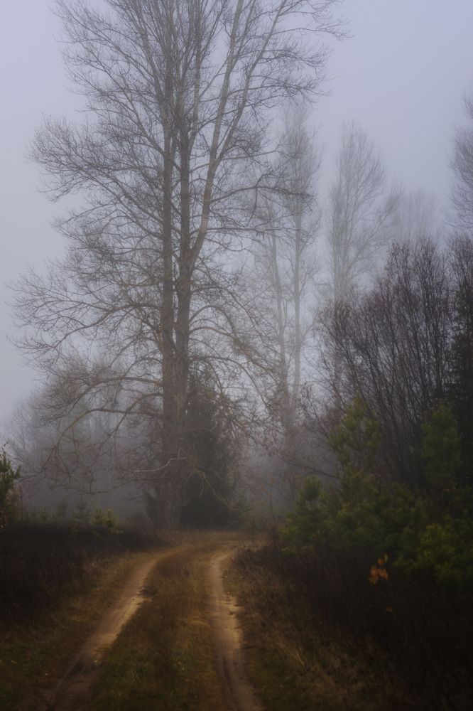 Photograph by Елена Баженова