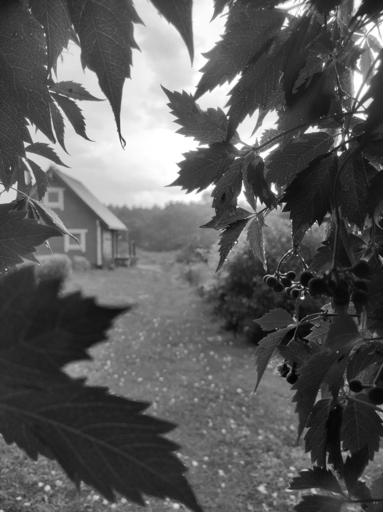 Фотография автора Татьяна Алексеева