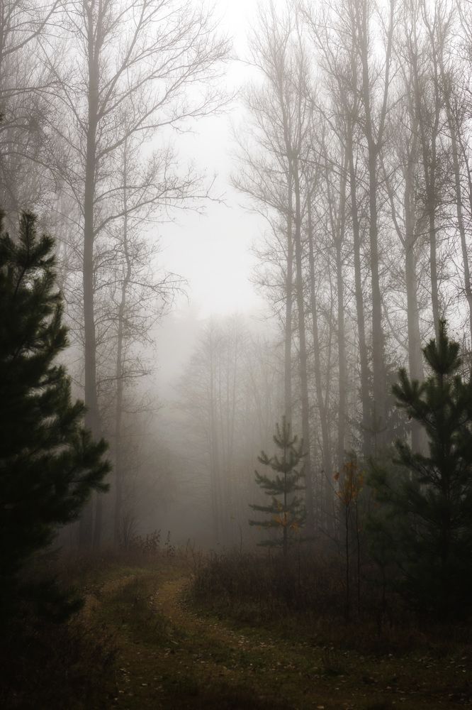 Photograph by Елена Баженова