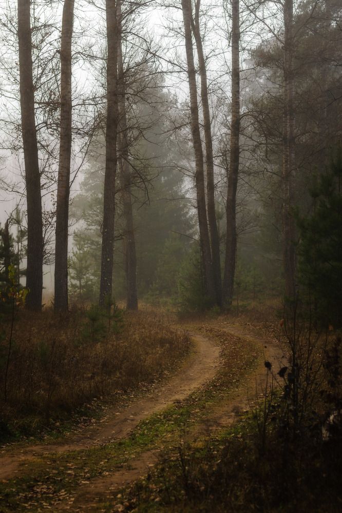 Photograph by Елена Баженова