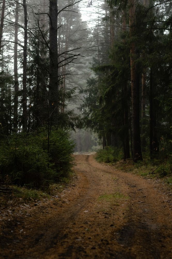 Photograph by Елена Баженова