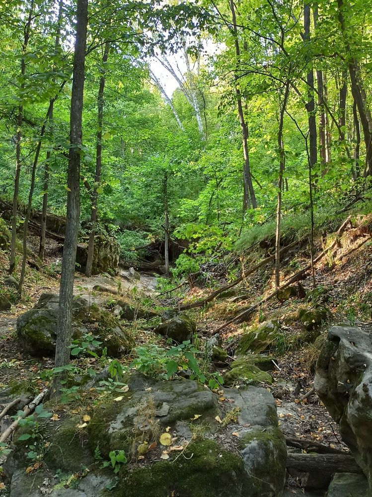 Photograph by Антон Радионов