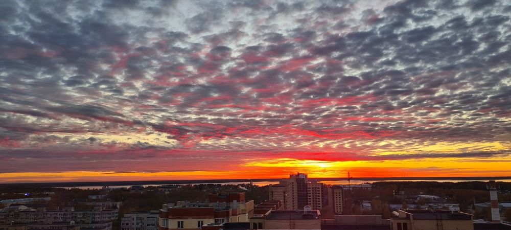 Photograph by Ксения Определенкова