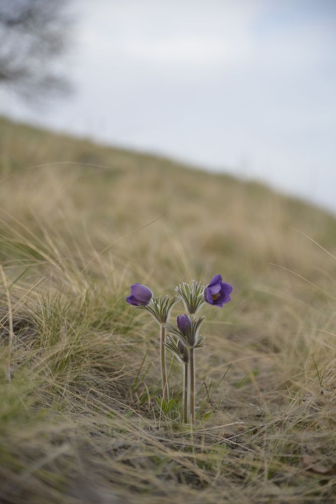 Photograph by Антон Радионов