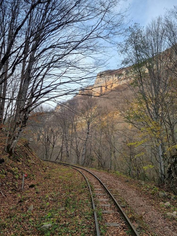 Photograph by Marianna Zakirova