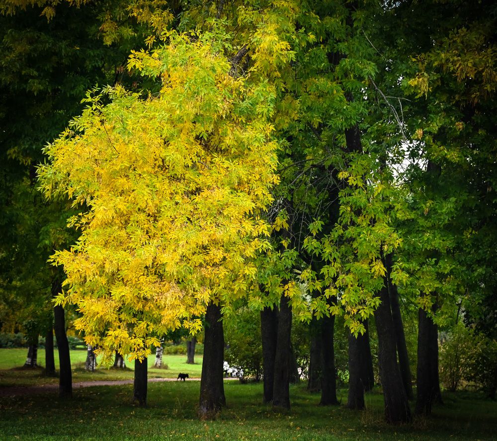 Photograph by Сергей Вальков